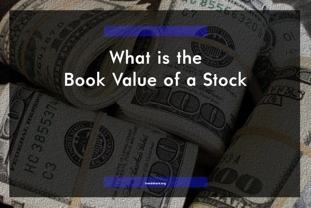 What is the Book Value of a Stock?
