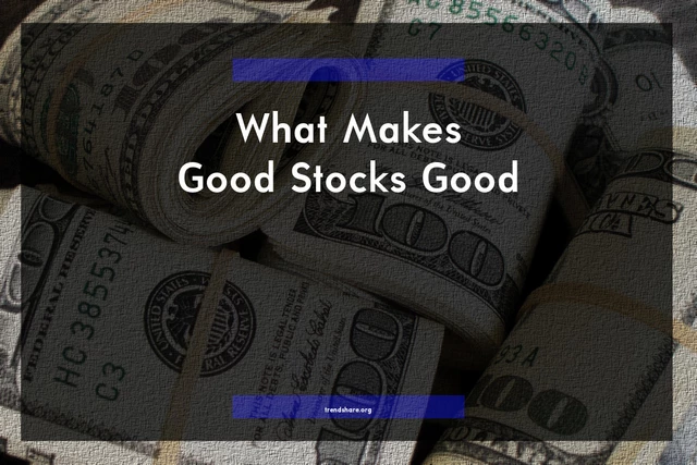 What Makes Good Stocks Good?