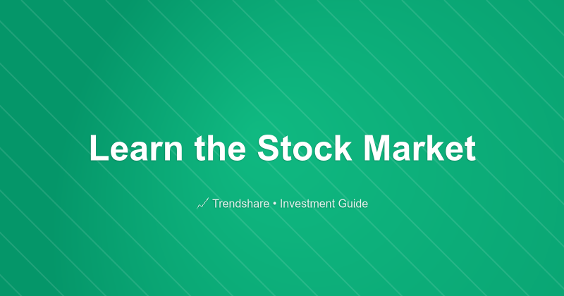 Learn the Stock Market - Investment Guide