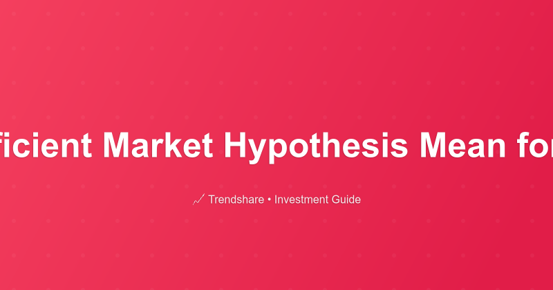 What Does the Efficient Market Hypothesis Mean for Value Investors? - Investment Guide
