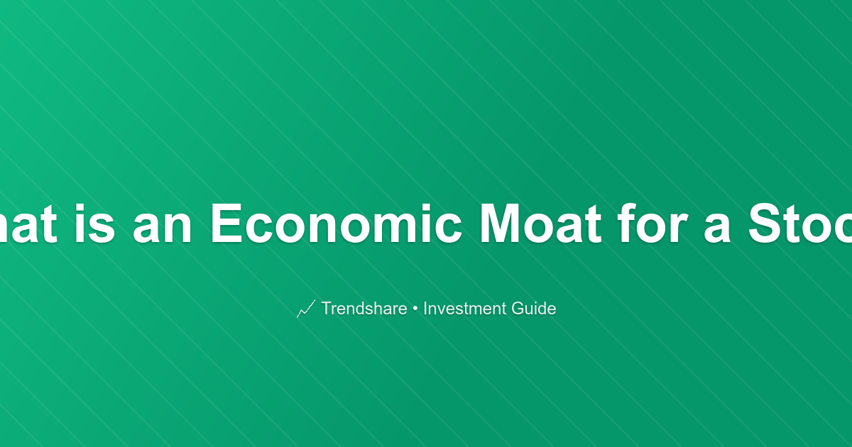 What is an Economic Moat for a Stock? - Investment Guide