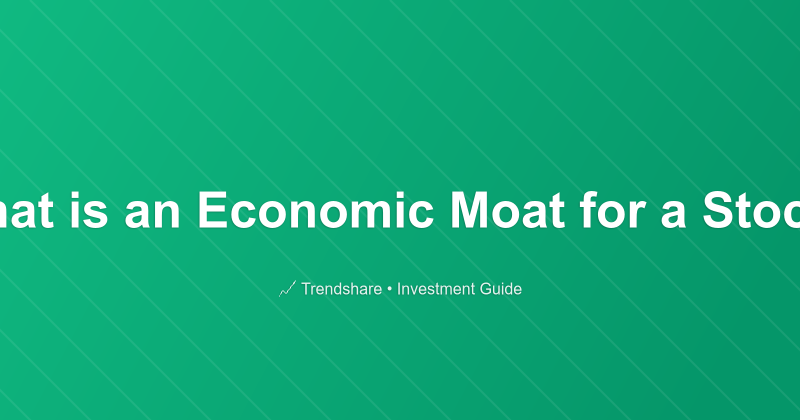 What is an Economic Moat for a Stock? - Investment Guide