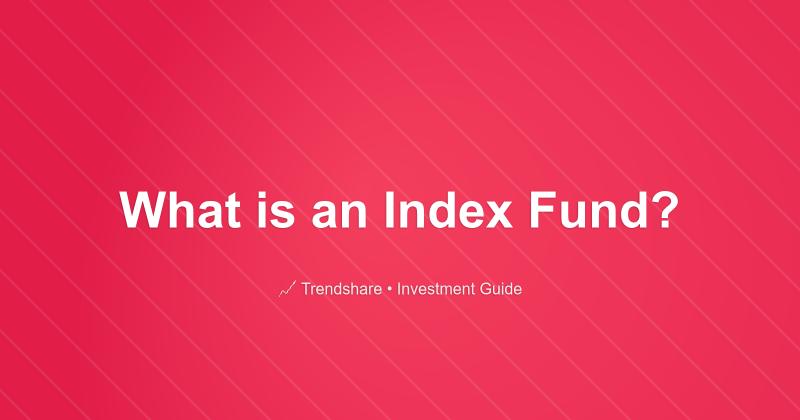 What is an Index Fund? - Investment Guide