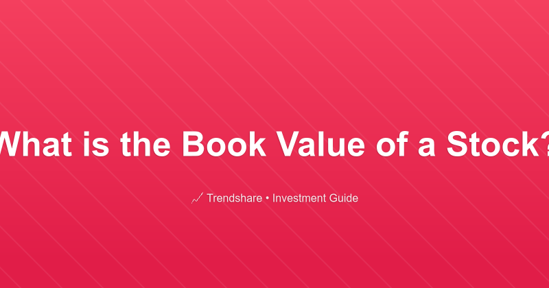 What is the Book Value of a Stock? - Investment Guide
