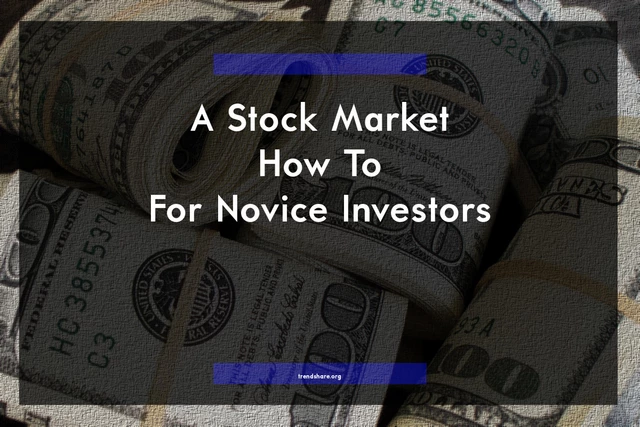 A Stock Market How To For Novice Investors