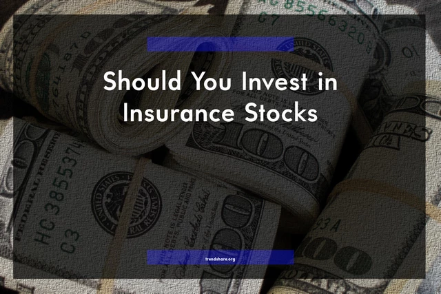 Should You Invest in Insurance Stocks?
