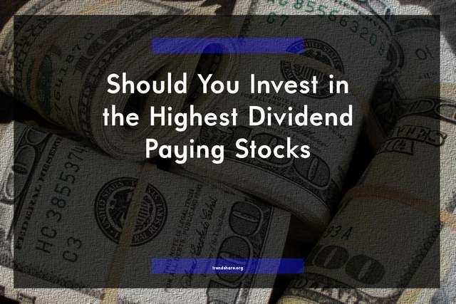 Should You Invest in the Highest Dividend Paying Stocks?