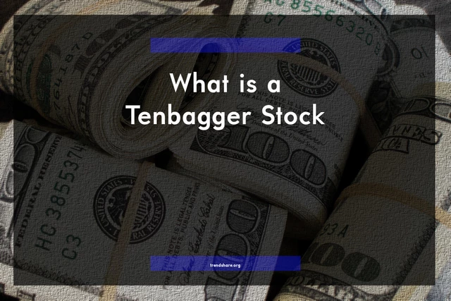 What is a Tenbagger Stock?