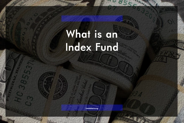 What is an Index Fund?
