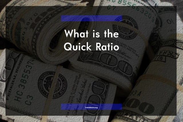 What is the Quick Ratio?