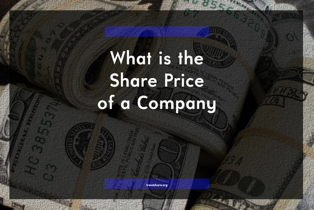 What is the Share Price of a Company?