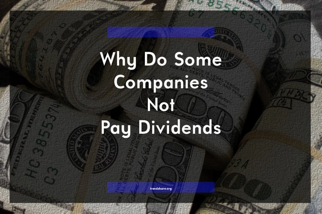 Why Do Some Companies Not Pay Dividends?
